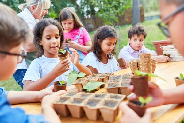 Educação Ambiental nas Escolas: Moldando o Futuro Sustentável